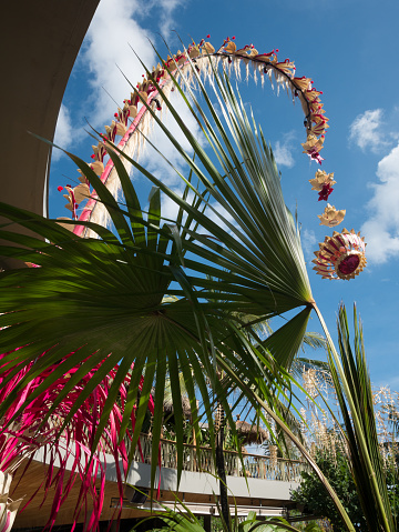 Bali, Indonesia - May 31, 2019: View of ferns and elaborate decorations in the Potato Head Beach Club in Seminyak.