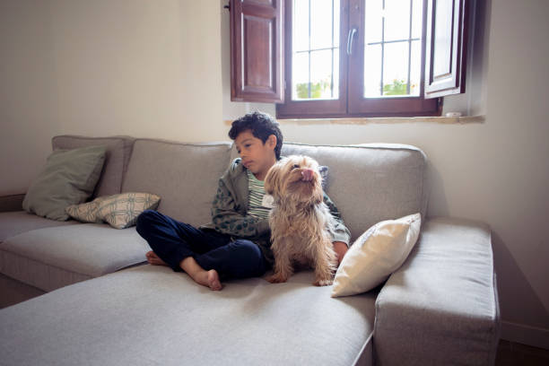 istock Child with dog at home 2150668941