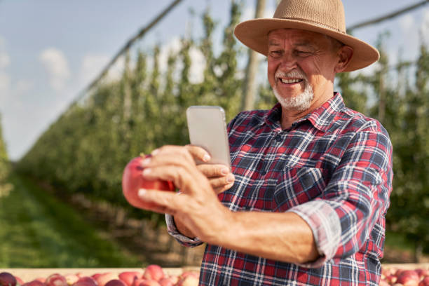 istock Senior farmer taking photo of held apple 2150676154
