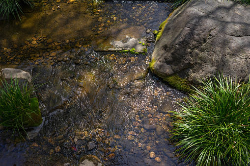 Moody background of a creek with pebbles and a green grassy bush. Arial view of a shallow flowing stream.