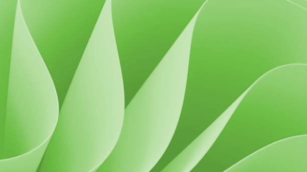 istock Abstract light green petal shapes close up 2150678465