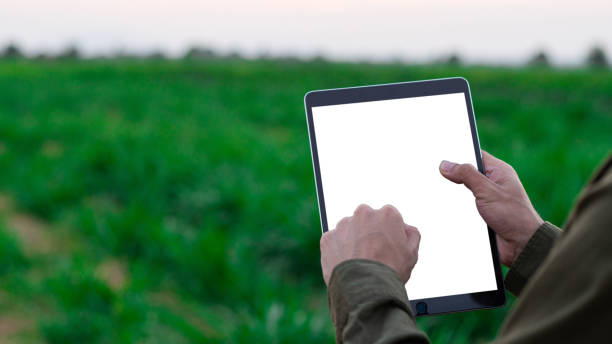istock Farmers use white screen tablet technology to analyze agricultural data. White tablet screen. white space to put text on screen.A farmer holds a tablet with a white screen. 2150680833