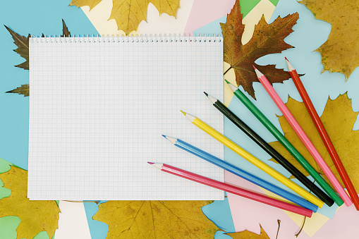 colored pencils and notepad lie on autumn leaves
