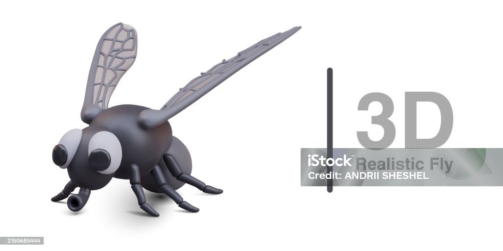 Fly Vector Black Realistic Black Fly With Textured Wings Vector Insect On White ...