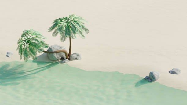 istock Empty summer tropical beach with coconut palms and stones. Summer travel concept. 3d render. Front view 2150692271