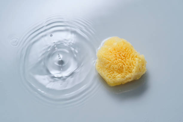 istock Natural sponge on a blue background with water. 2150693615
