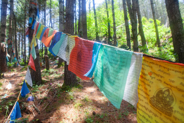 A string of colourful Buddhist prayer flags hung between trees in a forest