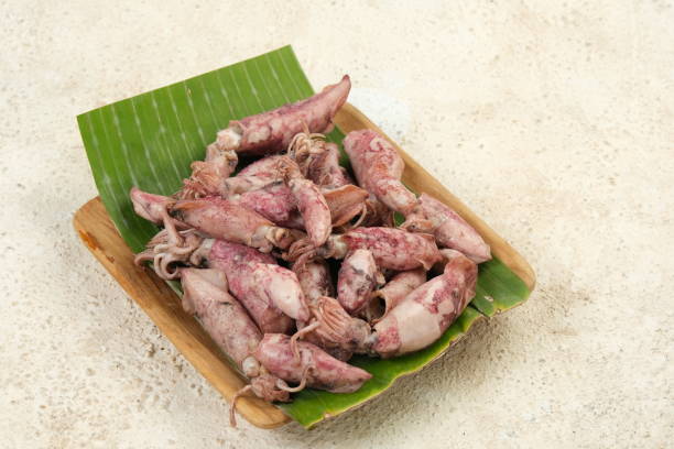 istock raw cumi asin or salted baby squid 2150696421