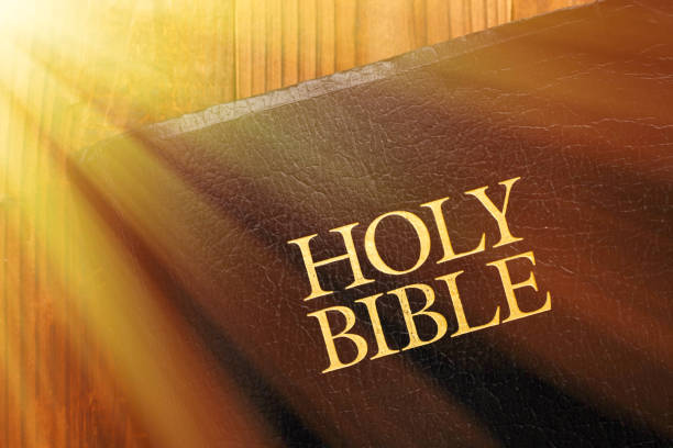 Holy Bible on wood with sun flare