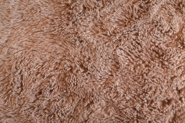 istock Close-up brown fur texture background, top view. 2150697843