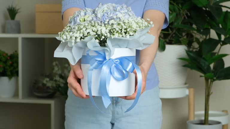 Woman stretching forward a large bouquet of blue and white flowers of hydrangeas and gypsophila