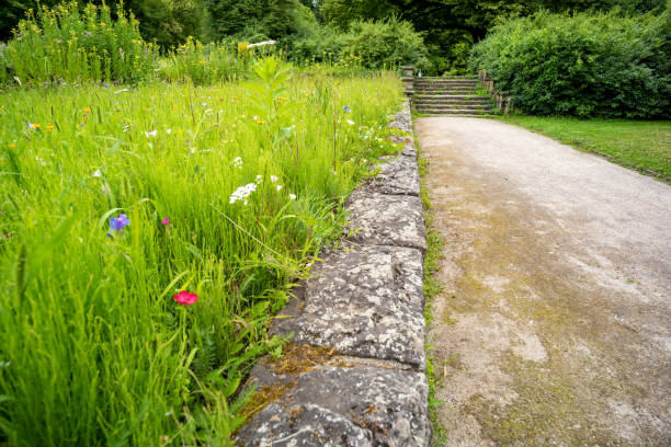 istock country lane in a beautiful landscape 2150700869