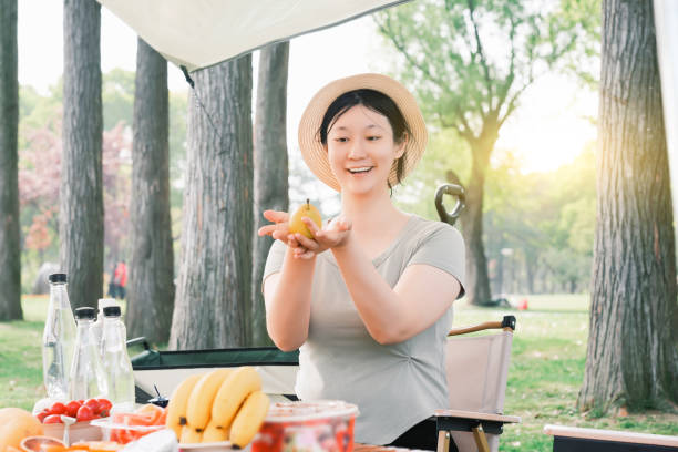 istock Outdoor Picnic Experience: Embracing Nature's Serenity 2150702945