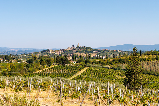 View at San Gimignano, Tuscany, Italy, Europe