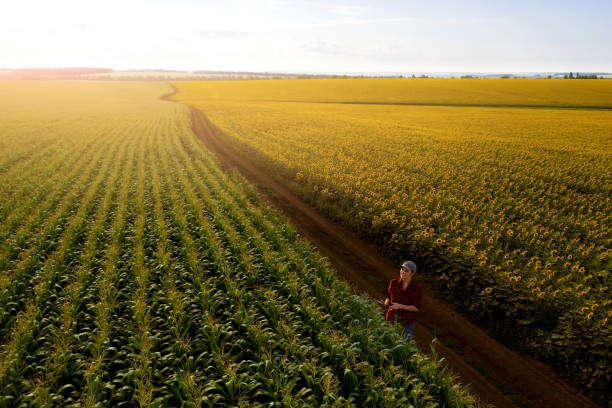 Farmer with digital tablet on a field.