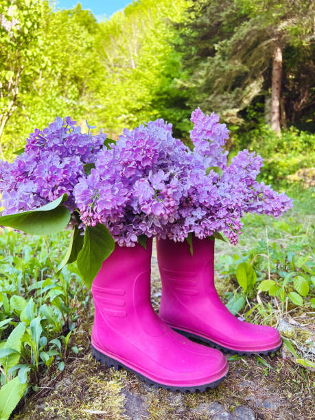 Pink Rubber boots with purple lilac