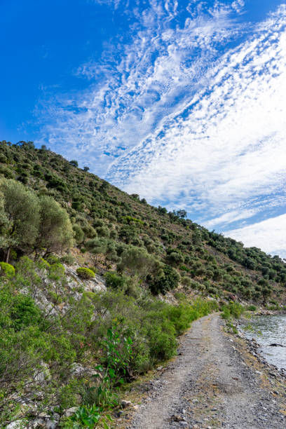 istock Bafa Lake View from the Mountains with Olive Trees on the Foreground and Another Mountain on the Background. 2150704521