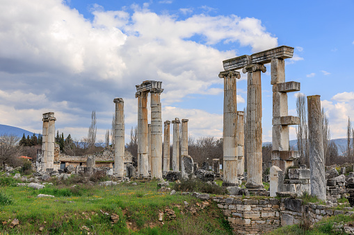 Against a canvas of cloud-streaked skies, the towering columns of Afrodisias stand as proud remnants of a bygone era, surrounded by the wild, natural beauty of Turkey's historical landscape.