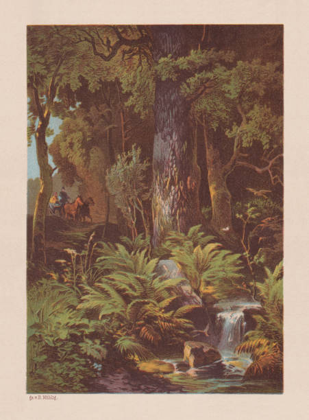 istock Forest landscape with horse-drawn carriage, chromolithograph, published in 1879 2150707662
