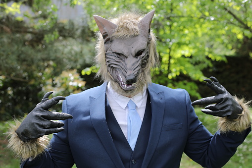 A businessman is wearing a rubber mask  with a wolf face. He poses in natural environment and pretends to be an animal.
