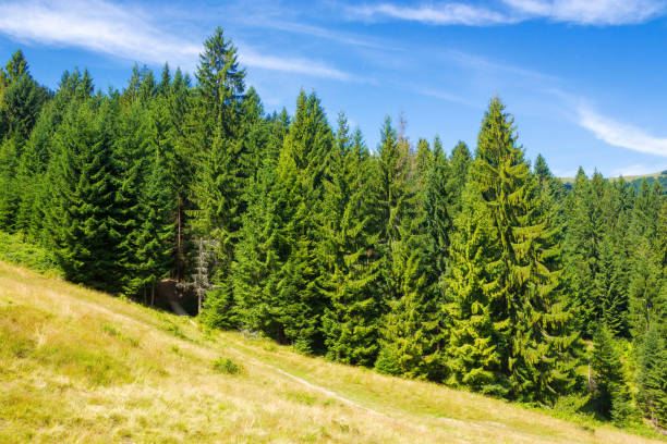 istock mountainous countryside scenery in summer 2150713346