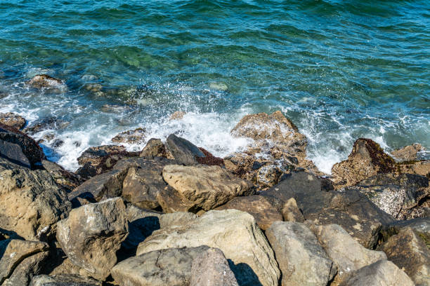 Water and boulders at Alki Beach in West Seattle, WAshington.