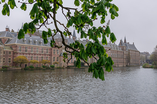 the city of Den Haag in the Netherlands at spring time