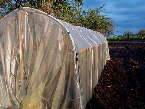 Homemade greenhouse made of polyethylene film stretched over a wooden frame made of wooden rods in the garden for growing vegetables and other crops in greenhouse conditions.