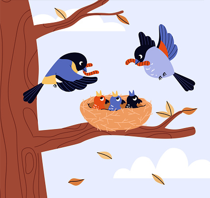 Parent birds feeding hungry chicks. This vector illustration captures the moment of care in the cycle of life with vibrant colors and a serene backdrop.