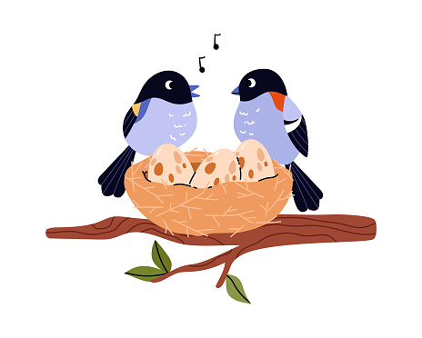 A serene moment in nature: Vector illustration of two birds serenading beside their eggs in a nest, encapsulating the essence of parental care.