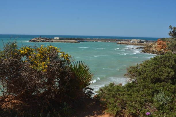 istock Beaches of Conil de la frontera 2150727209