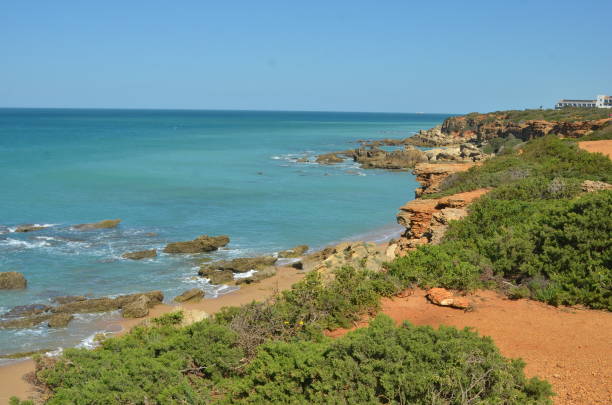 istock Beaches of Conil de la frontera 2150727217