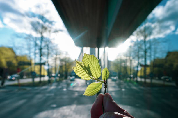 Cropped hand holding leaves in city