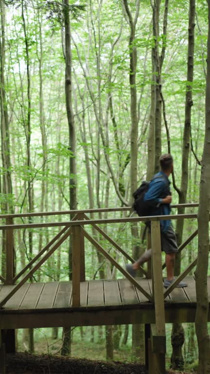 One man walking trough a wooden bridge on a green forest, looking at the view enjoying the hike.