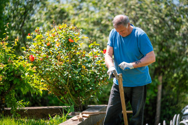 istock An elderly man is fixing his gardening tool 2150731737