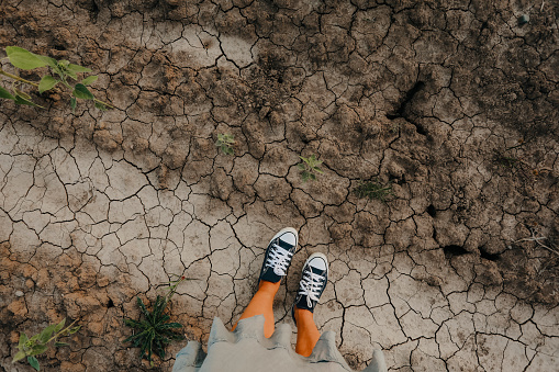A high angle view of a woman standing on dry, cracked soil in a sunflower field. Shot with a Canon 5D Mark iv.