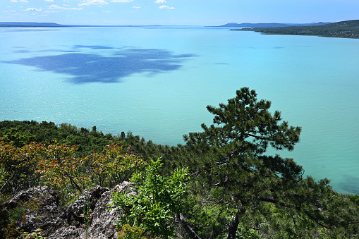 Turquoise waters of Lake Balaton with clouds shadows from hiking path with trees in the foreground, on Tihany peninsula