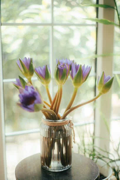 istock Water lilies in a vase 2150735165