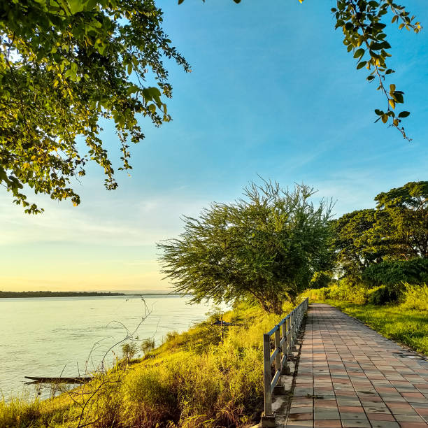istock Morning Walk Near the River 2150735843