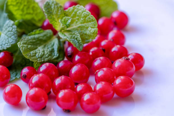The currant (Ribes rubrum) is a fruit that provides notable amounts of vitamin C, vitamin A and other antioxidants.