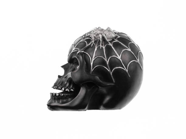 istock halloween black skull with cobweb isolated on white background 2150737414