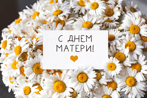 big beautiful bouquet of field daisies close-up, white greeting card with text happy mothers day in russian, sweet wish concept.