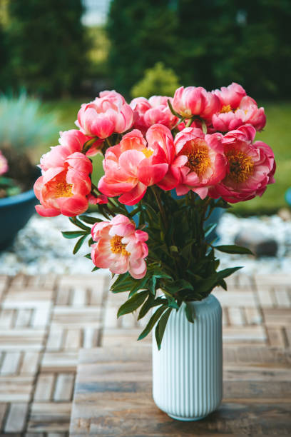 istock Pink peonies, vibrant and full, are arranged in a white vase textured with vertical ridges 2150738577