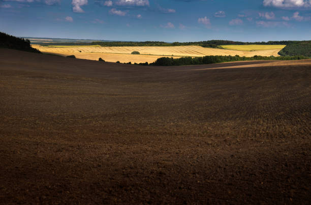 Wavy country scenery at autumn sunset. Arable land ready for the agricultural season.