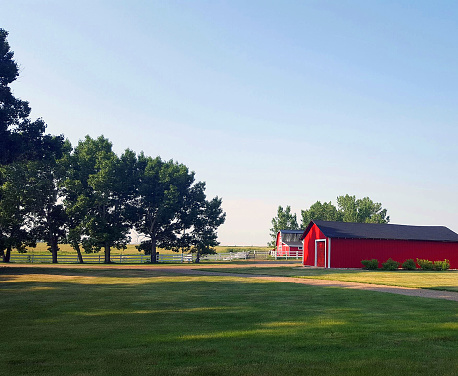 Medicine Hat, Alberta, Canada- July 1,2023: Prairie Scenic. White wooden fence. Red Barn and Red outbuilding.  Blue sky. Green grass in foreground. No people.