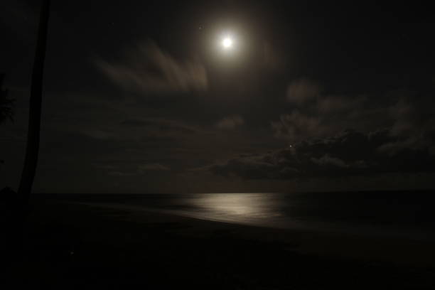 istock Moonlight at Praia do Forte in Bahia 2150746954