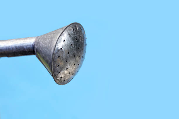 Zinc watering can for showering plants