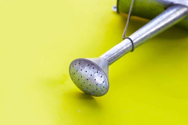 Zinc watering can for showering plants