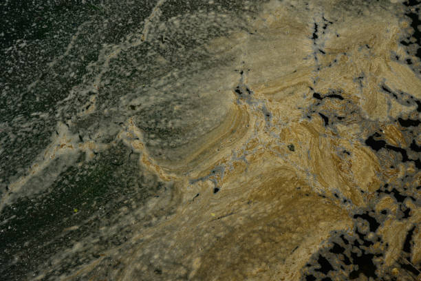 Abstract patterns and texture of organic matter and foam floating swirling on the river water surface