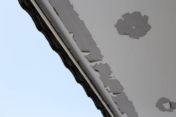 istock White color paint peeling off on ceiling house. Under the roof 2150754051